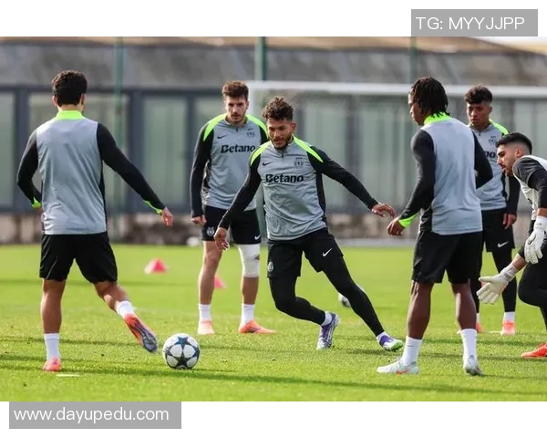 欧协联赛季临近葡超球队全力备战迎接新挑战